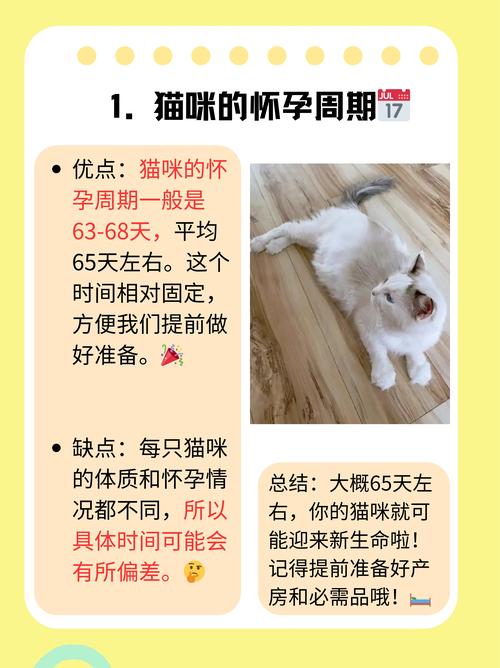 猫咪生产后多久发情,猫生完多久会发情-第6张图片-后鲨宠物 猫咪生产后多久发情,猫生完多久会发情-第6张图片-后鲨宠物