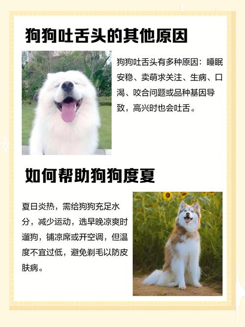 狗狗舌头烫是怎么回事,小狗舌头烫是否生病了-第4张图片-后鲨宠物 狗狗舌头烫是怎么回事,小狗舌头烫是否生病了-第4张图片-后鲨宠物