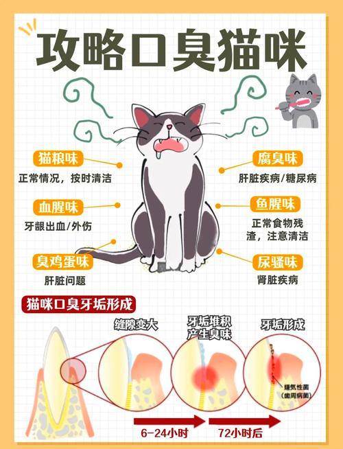 猫咪嘴巴臭怎么办,猫咪嘴巴臭怎么办?猫咪口臭什么原因-第2张图片-后鲨宠物 猫咪嘴巴臭怎么办,猫咪嘴巴臭怎么办?猫咪口臭什么原因-第2张图片-后鲨宠物