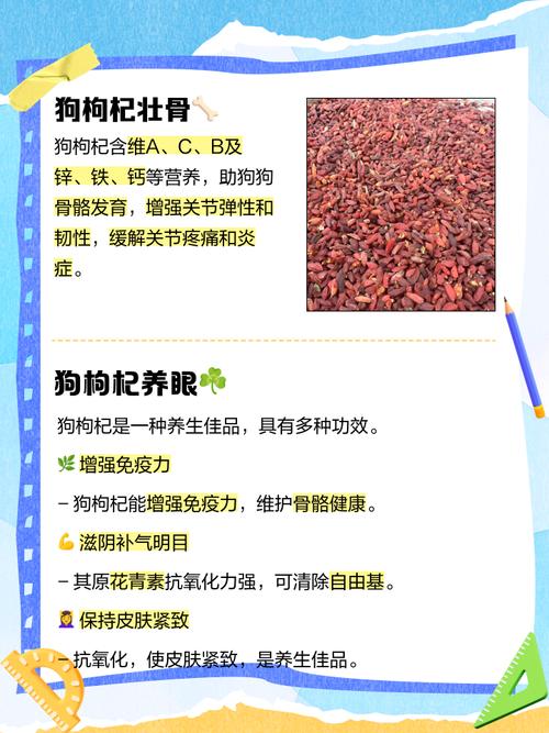  狗狗能吃枸杞吗，狗子能吃枸杞吗-第4张图片-后鲨宠物