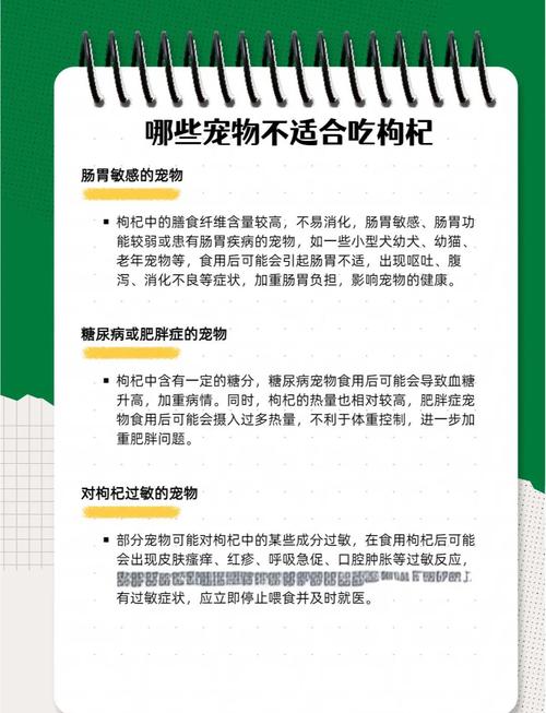  狗狗能吃枸杞吗，狗子能吃枸杞吗-第5张图片-后鲨宠物