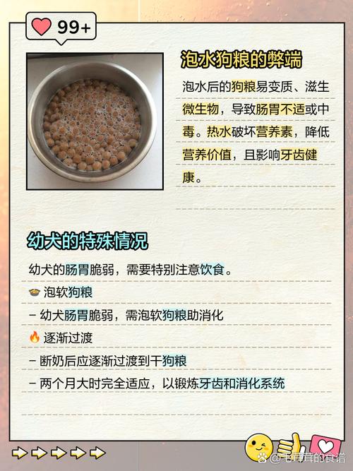 狗狗多大吃狗粮不用泡，狗狗多大的时候狗粮不用泡？