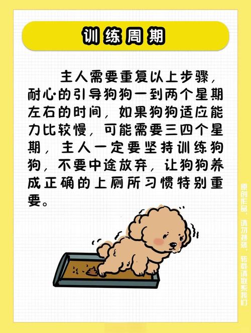  如何教狗狗定点大小便，如何教狗狗定点大小便呢