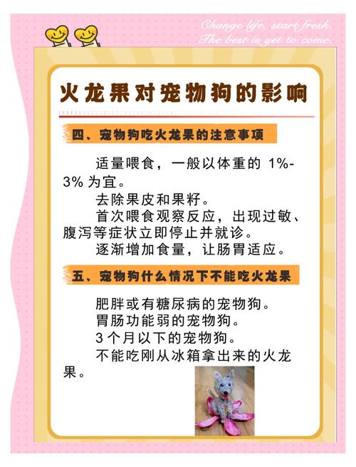 狗狗可不可以吃火龙果_狗是否能吃火龙果-第3张图片-后鲨宠物 狗狗可不可以吃火龙果_狗是否能吃火龙果-第3张图片-后鲨宠物