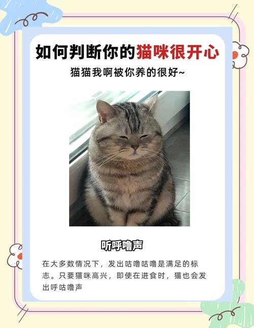 猫咪高兴的表现_猫猫高兴的表现-第1张图片-后鲨宠物 猫咪高兴的表现_猫猫高兴的表现-第1张图片-后鲨宠物