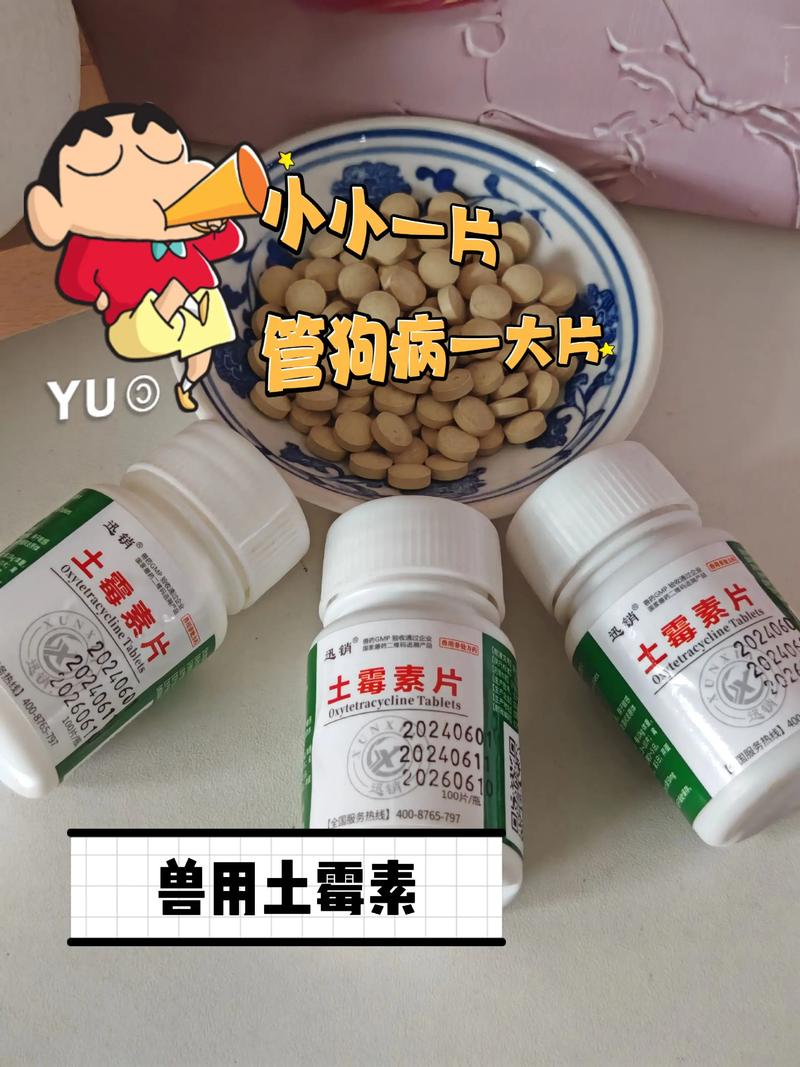 土霉素可以给狗狗吃吗,土霉素能给狗狗吃多少?-第2张图片-后鲨宠物 土霉素可以给狗狗吃吗,土霉素能给狗狗吃多少?-第2张图片-后鲨宠物