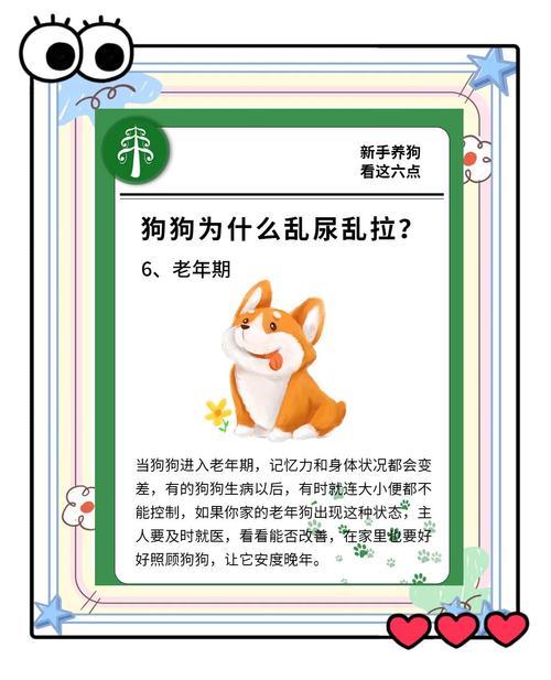 狗狗半夜拉屎怎么办_狗狗半夜拉屎正常吗-第2张图片-后鲨宠物