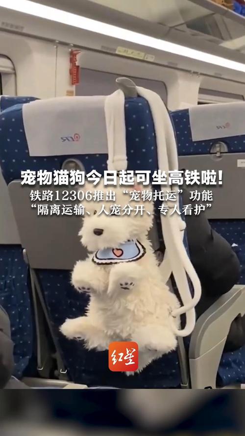 狗狗可以火车托运吗,狗狗可以办理火车托运吗?-第2张图片-后鲨宠物 狗狗可以火车托运吗,狗狗可以办理火车托运吗?-第2张图片-后鲨宠物
