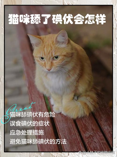 碘伏猫咪舔了会怎么样_猫添了碘伏会怎样-第3张图片-后鲨宠物 碘伏猫咪舔了会怎么样_猫添了碘伏会怎样-第3张图片-后鲨宠物