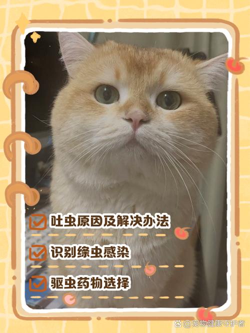 猫咪体内有虫怎么办,猫咪体内有虫怎么办吃什么药-第2张图片-后鲨宠物 猫咪体内有虫怎么办,猫咪体内有虫怎么办吃什么药-第2张图片-后鲨宠物