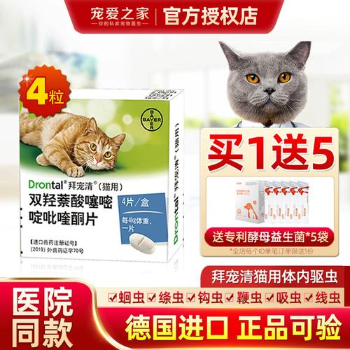 猫咪体内有虫怎么办,猫咪体内有虫怎么办吃什么药-第4张图片-后鲨宠物 猫咪体内有虫怎么办,猫咪体内有虫怎么办吃什么药-第4张图片-后鲨宠物