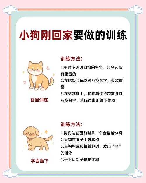 怎么教狗狗拜年,怎么教狗狗拜年呢-第5张图片-后鲨宠物 怎么教狗狗拜年,怎么教狗狗拜年呢-第5张图片-后鲨宠物