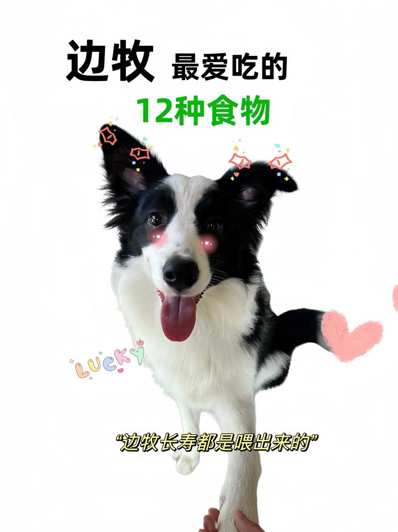 菠萝蜜狗狗能吃吗,菠萝蜜小狗能吃吗?-第3张图片-后鲨宠物 菠萝蜜狗狗能吃吗,菠萝蜜小狗能吃吗?-第3张图片-后鲨宠物