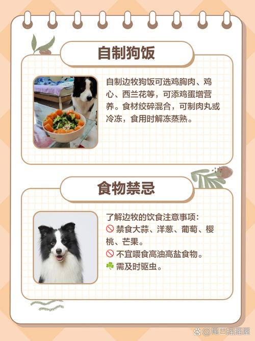 菠萝蜜狗狗能吃吗,菠萝蜜小狗能吃吗?-第4张图片-后鲨宠物 菠萝蜜狗狗能吃吗,菠萝蜜小狗能吃吗?-第4张图片-后鲨宠物