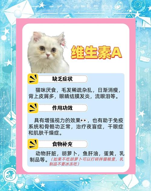 怎么给猫咪补充维生素,怎么给猫补充维生素c-第2张图片-后鲨宠物 怎么给猫咪补充维生素,怎么给猫补充维生素c-第2张图片-后鲨宠物