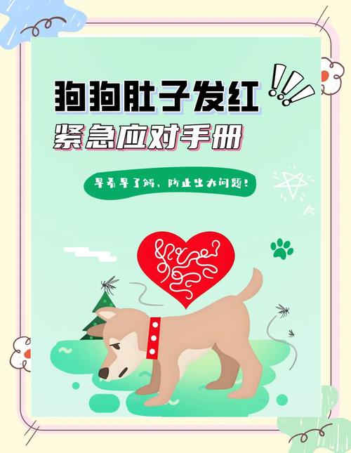 狗狗红疹怎么治疗方法_狗狗起红点-第3张图片-后鲨宠物 狗狗红疹怎么治疗方法_狗狗起红点-第3张图片-后鲨宠物