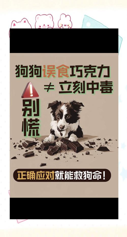狗狗可以吃巧克力饼干吗，狗狗可以吃巧克力饼干吗为什么？-第2张图片-后鲨宠物