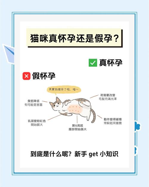 怎么判断猫咪是否怀孕_猫怀孕后有什么明显症状-第2张图片-后鲨宠物 怎么判断猫咪是否怀孕_猫怀孕后有什么明显症状-第2张图片-后鲨宠物