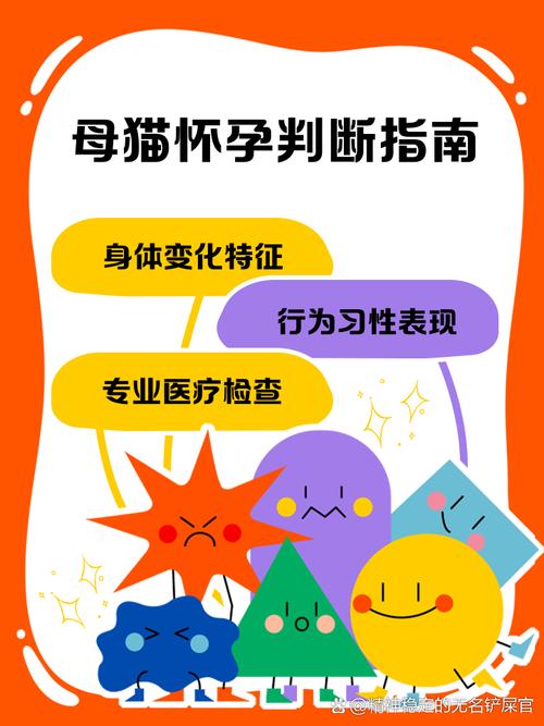 怎么判断猫咪是否怀孕_猫怀孕后有什么明显症状-第3张图片-后鲨宠物 怎么判断猫咪是否怀孕_猫怀孕后有什么明显症状-第3张图片-后鲨宠物