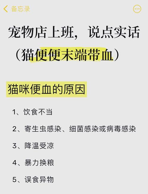 猫咪拉屎有血怎么回事_猫大便末端有一段黏液血-第2张图片-后鲨宠物 猫咪拉屎有血怎么回事_猫大便末端有一段黏液血-第2张图片-后鲨宠物