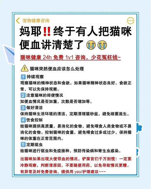 猫咪拉屎有血怎么回事_猫大便末端有一段黏液血-第6张图片-后鲨宠物 猫咪拉屎有血怎么回事_猫大便末端有一段黏液血-第6张图片-后鲨宠物