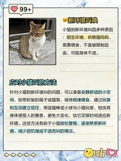 猫咪到新家一直叫_猫咪到新家一直叫都叫哑了-第4张图片-后鲨宠物 猫咪到新家一直叫_猫咪到新家一直叫都叫哑了-第4张图片-后鲨宠物