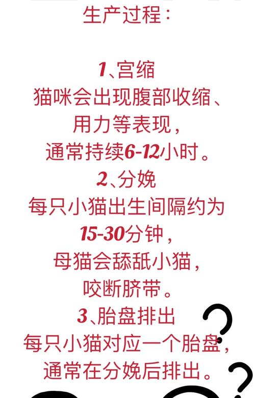 猫咪生产需要多长时间,猫咪生产需要多长时间??-第5张图片-后鲨宠物 猫咪生产需要多长时间,猫咪生产需要多长时间??-第5张图片-后鲨宠物