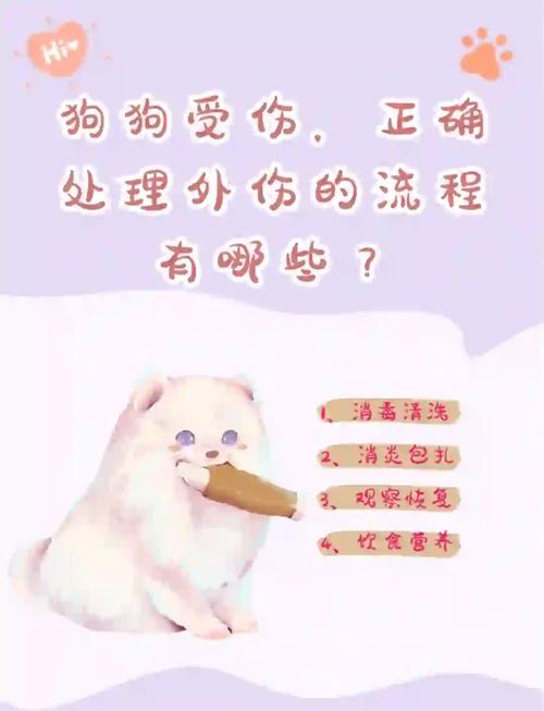 狗狗皮破了用什么药,狗狗皮伤了用什么药-第2张图片-后鲨宠物 狗狗皮破了用什么药,狗狗皮伤了用什么药-第2张图片-后鲨宠物