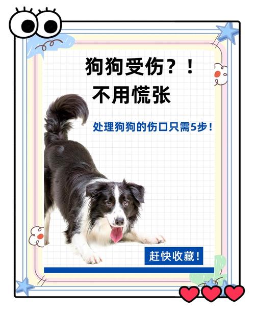狗狗皮破了用什么药,狗狗皮伤了用什么药-第3张图片-后鲨宠物 狗狗皮破了用什么药,狗狗皮伤了用什么药-第3张图片-后鲨宠物