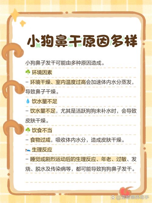 狗狗鼻子发干怎么回事,狗狗鼻子干怎么回事但很活泼?-第2张图片-后鲨宠物 狗狗鼻子发干怎么回事,狗狗鼻子干怎么回事但很活泼?-第2张图片-后鲨宠物
