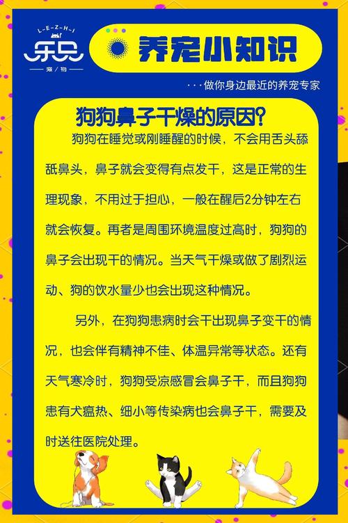 狗狗鼻子发干怎么回事,狗狗鼻子干怎么回事但很活泼?-第3张图片-后鲨宠物 狗狗鼻子发干怎么回事,狗狗鼻子干怎么回事但很活泼?-第3张图片-后鲨宠物