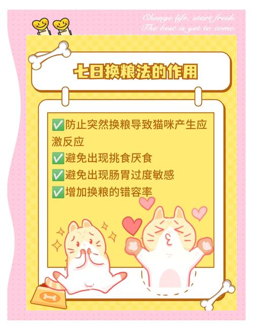 猫咪不吃新猫粮怎么办,猫不爱吃新粮怎么办-第2张图片-后鲨宠物 猫咪不吃新猫粮怎么办,猫不爱吃新粮怎么办-第2张图片-后鲨宠物