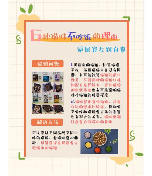 猫咪不吃新猫粮怎么办,猫不爱吃新粮怎么办-第3张图片-后鲨宠物 猫咪不吃新猫粮怎么办,猫不爱吃新粮怎么办-第3张图片-后鲨宠物