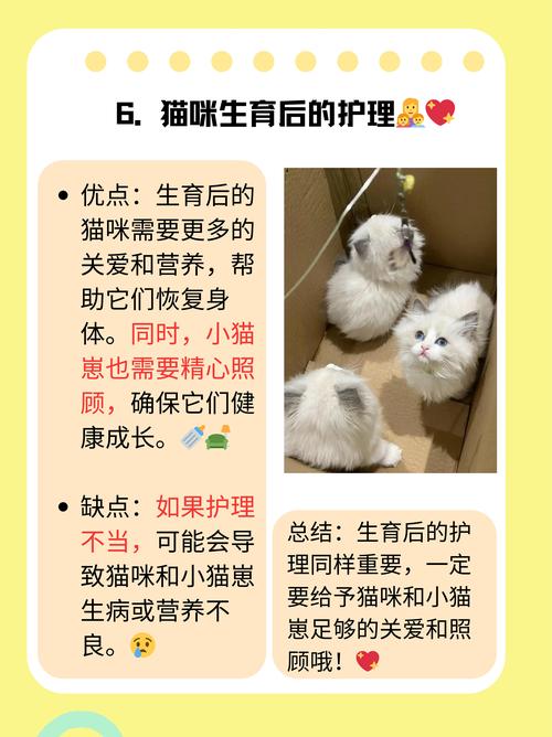 猫咪怀孕多久会生,小猫怀孕了几个月才能生下来?-第2张图片-后鲨宠物 猫咪怀孕多久会生,小猫怀孕了几个月才能生下来?-第2张图片-后鲨宠物