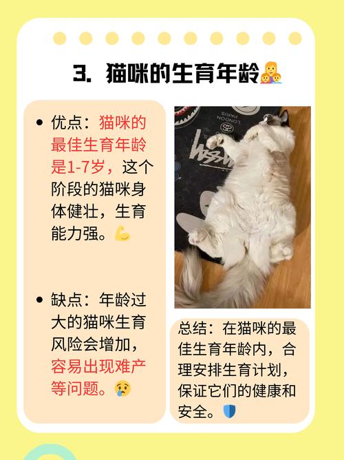 猫咪怀孕多久会生,小猫怀孕了几个月才能生下来?-第4张图片-后鲨宠物 猫咪怀孕多久会生,小猫怀孕了几个月才能生下来?-第4张图片-后鲨宠物