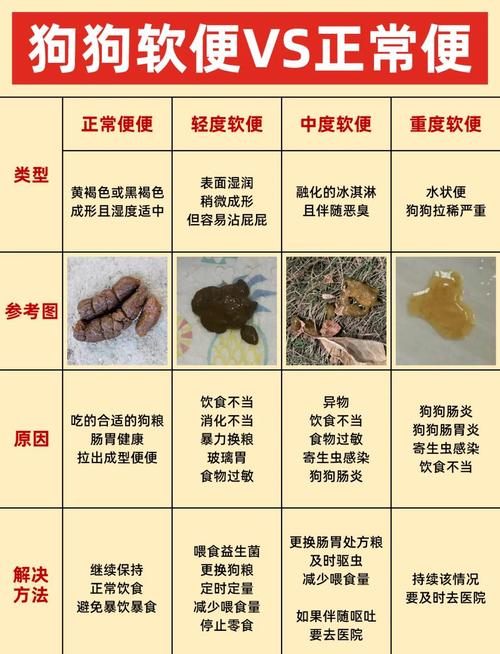 狗狗吃太多会拉稀吗_狗吃多了会拉稀吗?-第1张图片-后鲨宠物