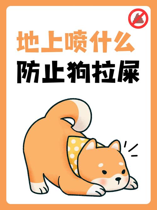  如何训练狗狗外出大小便，如何训练狗狗外出大小便视频-第3张图片-后鲨宠物