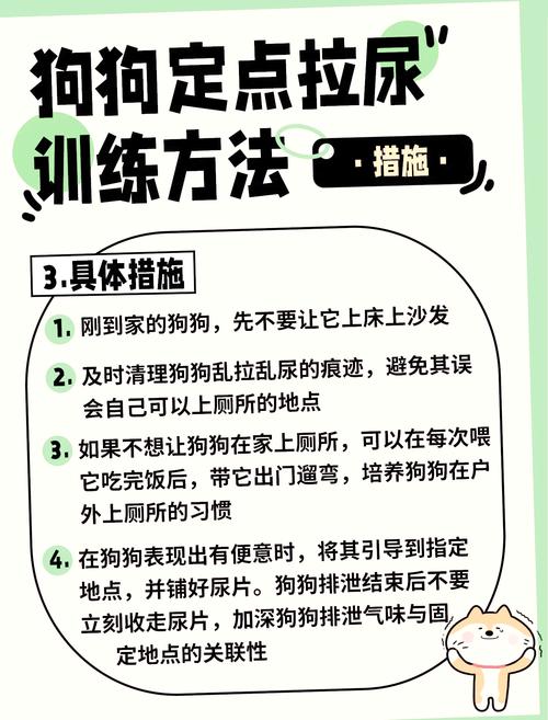  如何训练狗狗外出大小便，如何训练狗狗外出大小便视频-第4张图片-后鲨宠物