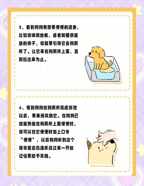  如何训练狗狗外出大小便，如何训练狗狗外出大小便视频-第5张图片-后鲨宠物