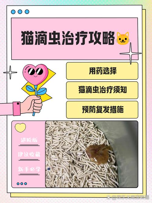 芬苯达唑片猫咪一次吃多少_芬苯达唑猫咪吃后副作用-第3张图片-后鲨宠物 芬苯达唑片猫咪一次吃多少_芬苯达唑猫咪吃后副作用-第3张图片-后鲨宠物