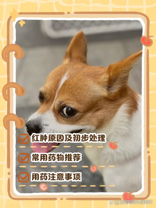 如何给狗狗滴眼药水_怎样给狗滴眼药水 视频-第2张图片-后鲨宠物 如何给狗狗滴眼药水_怎样给狗滴眼药水 视频-第2张图片-后鲨宠物