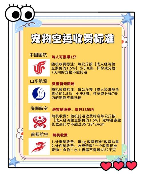 托运猫咪多少钱,托运猫咪要多少钱?-第3张图片-后鲨宠物 托运猫咪多少钱,托运猫咪要多少钱?-第3张图片-后鲨宠物