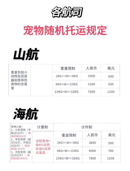 托运猫咪多少钱,托运猫咪要多少钱?-第5张图片-后鲨宠物 托运猫咪多少钱,托运猫咪要多少钱?-第5张图片-后鲨宠物