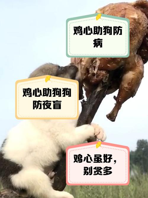 狗狗能吃炸鸡吗_狗狗能不能吃炸鸡-第1张图片-后鲨宠物