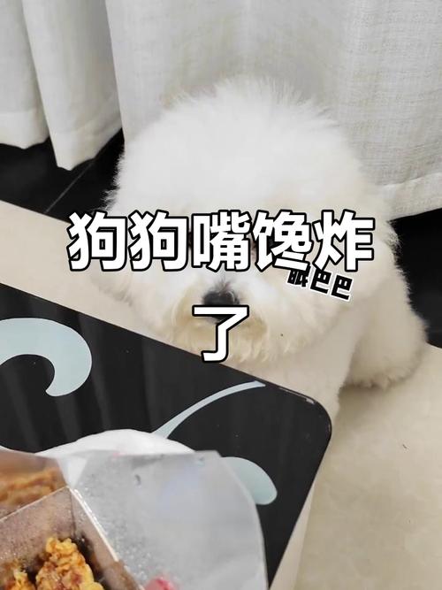 狗狗能吃炸鸡吗_狗狗能不能吃炸鸡-第3张图片-后鲨宠物