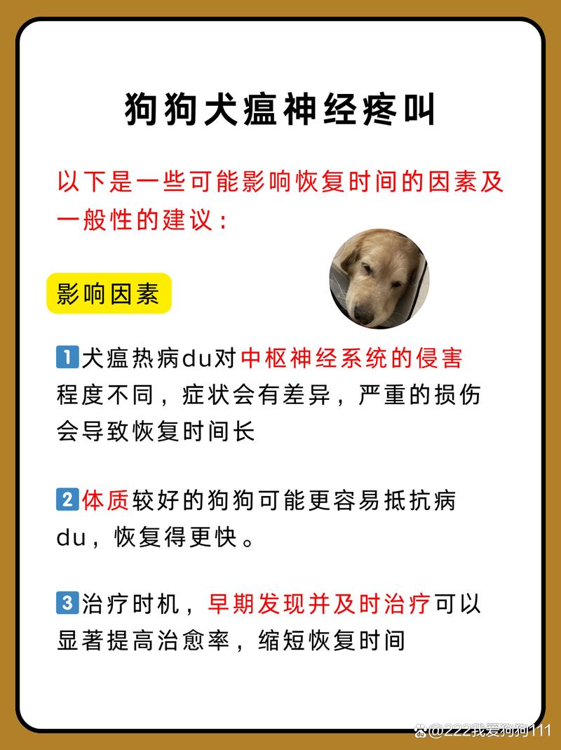 得犬瘟的狗狗能活多久,得了犬瘟的狗会传染人吗-第2张图片-后鲨宠物 得犬瘟的狗狗能活多久,得了犬瘟的狗会传染人吗-第2张图片-后鲨宠物