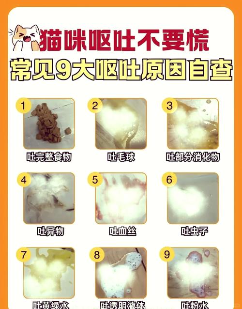 猫咪呕吐不吃饭,猫咪呕吐不吃饭没精神吃什么药?-第2张图片-后鲨宠物 猫咪呕吐不吃饭,猫咪呕吐不吃饭没精神吃什么药?-第2张图片-后鲨宠物