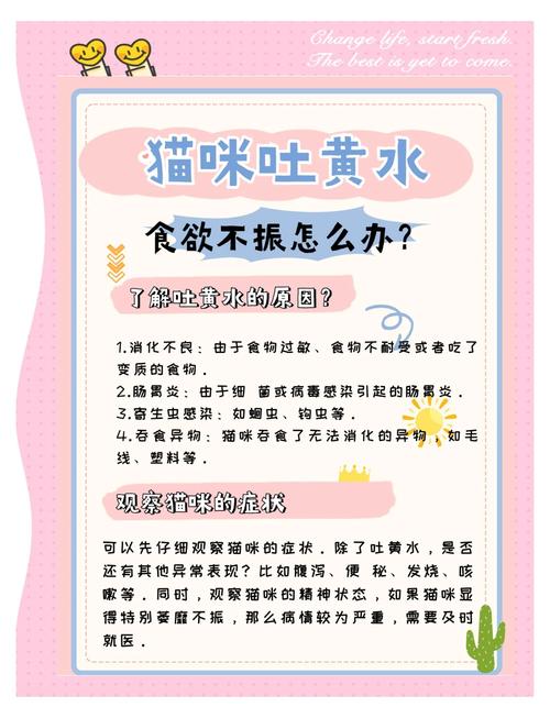 猫咪呕吐不吃饭,猫咪呕吐不吃饭没精神吃什么药?-第3张图片-后鲨宠物 猫咪呕吐不吃饭,猫咪呕吐不吃饭没精神吃什么药?-第3张图片-后鲨宠物