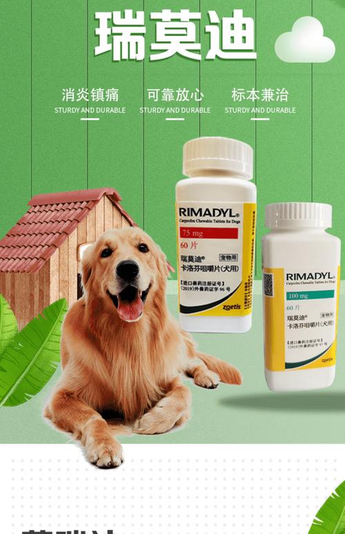  狗狗吃什么消炎药，狗狗止痛药哪个效果比较好