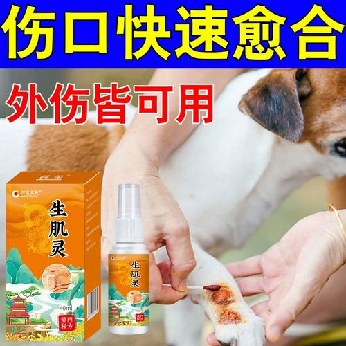 狗狗吃什么消炎药,狗狗止痛药哪个效果比较好-第2张图片-后鲨宠物 狗狗吃什么消炎药,狗狗止痛药哪个效果比较好-第2张图片-后鲨宠物